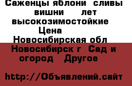 Саженцы яблони, сливы, вишни 2(3)лет высокозимостойкие › Цена ­ 250 - Новосибирская обл., Новосибирск г. Сад и огород » Другое   